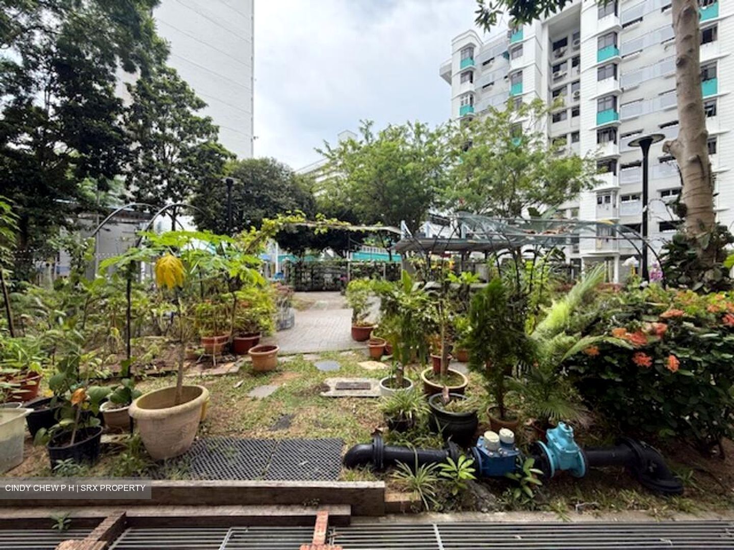 Blk 20 Marine Terrace Breeze (Marine Parade), HDB 4 Rooms #498637881